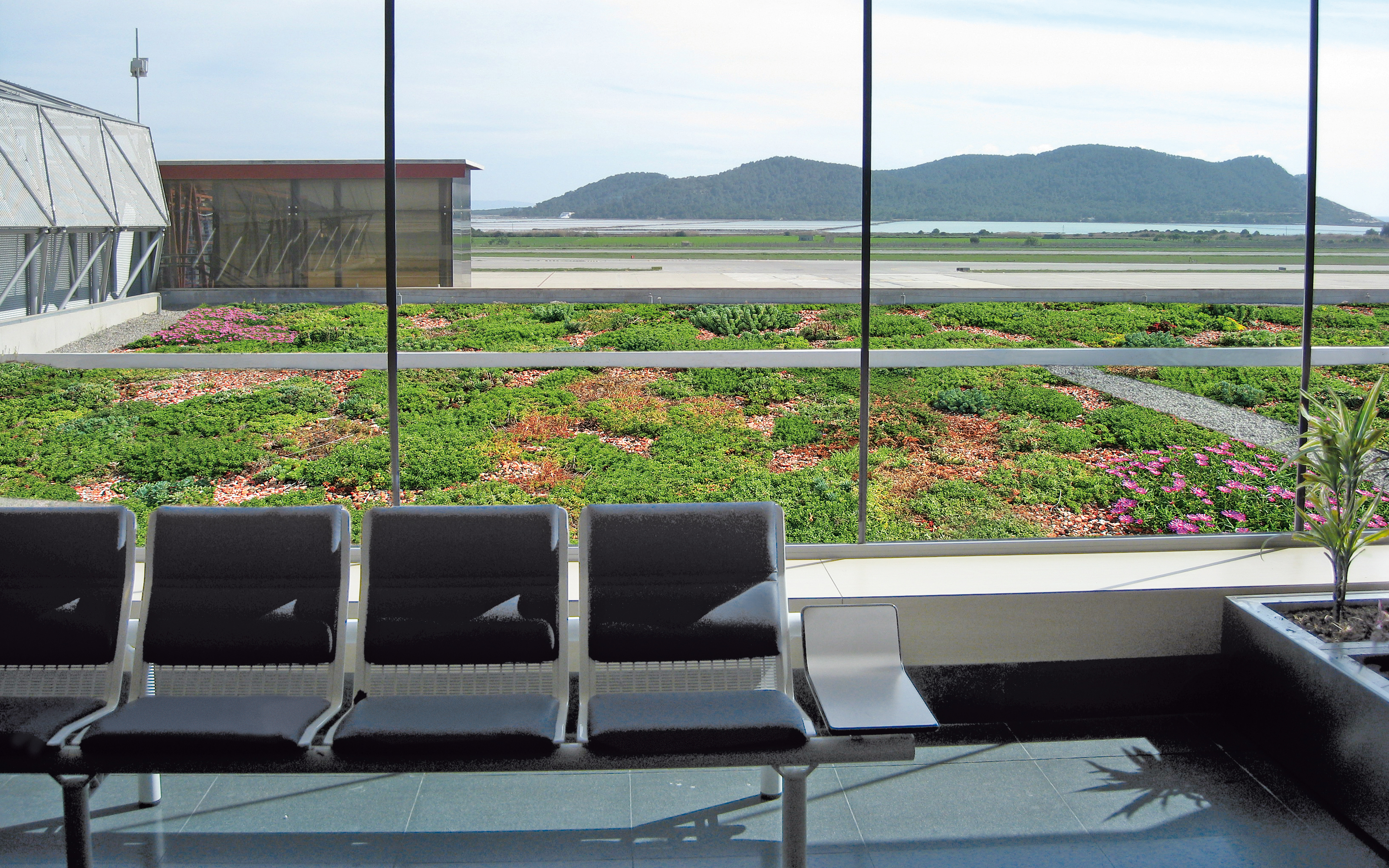 View from the waiting hall on the large-scale planting.   View from the waiting hall on the green roof